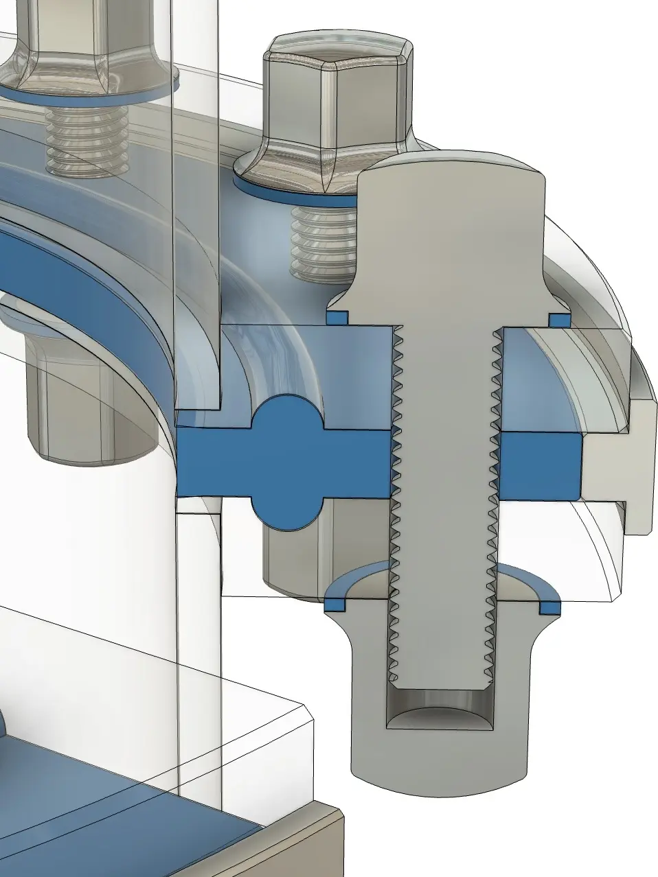 Projekt Messeexponat Flansch Dichtung Verschraubung Querschnitt Hygienic